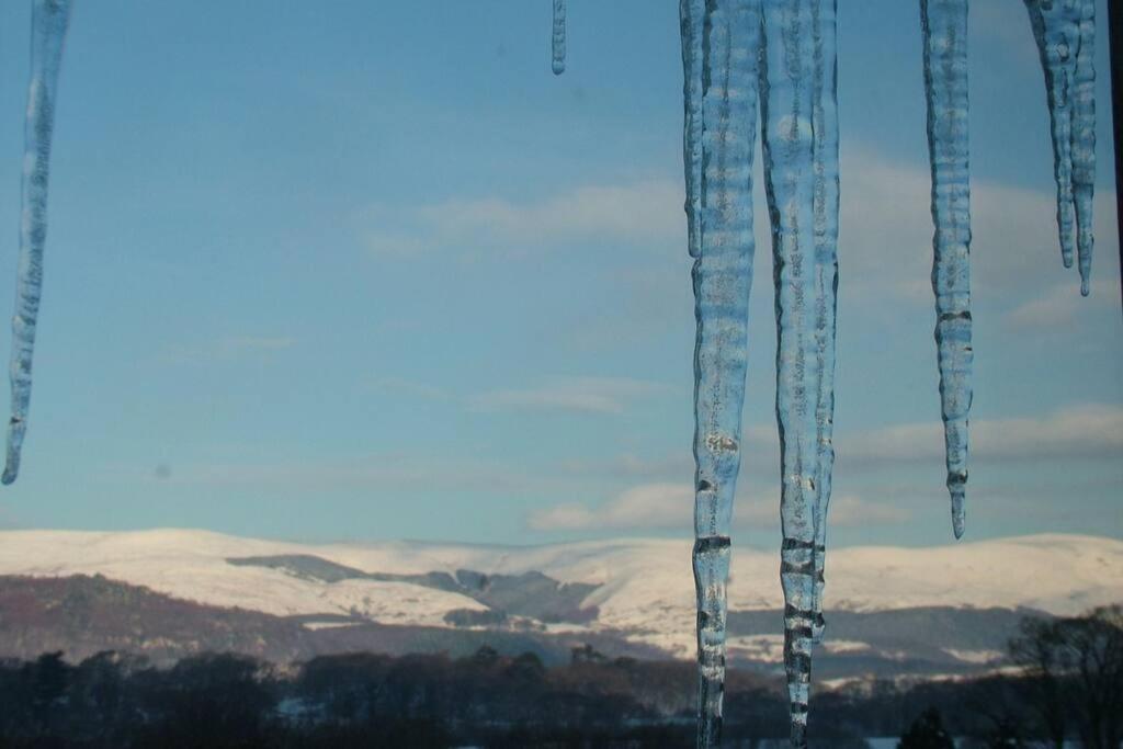 Stunning Views Of Ynyshir & Southern Snowdonia Machynlleth Eksteriør bilde