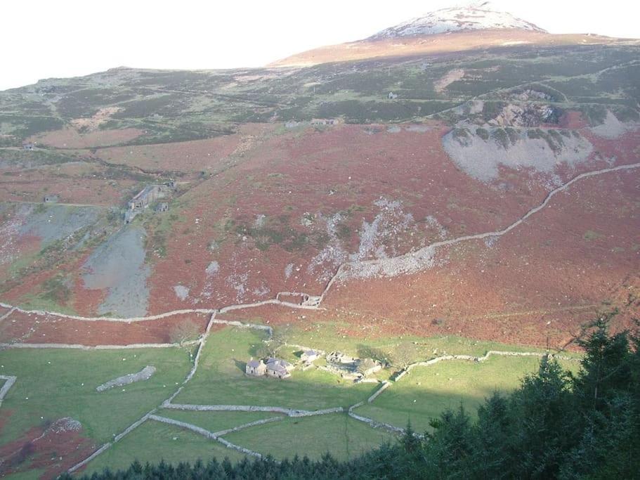 Stunning Views Of Ynyshir & Southern Snowdonia Machynlleth Eksteriør bilde