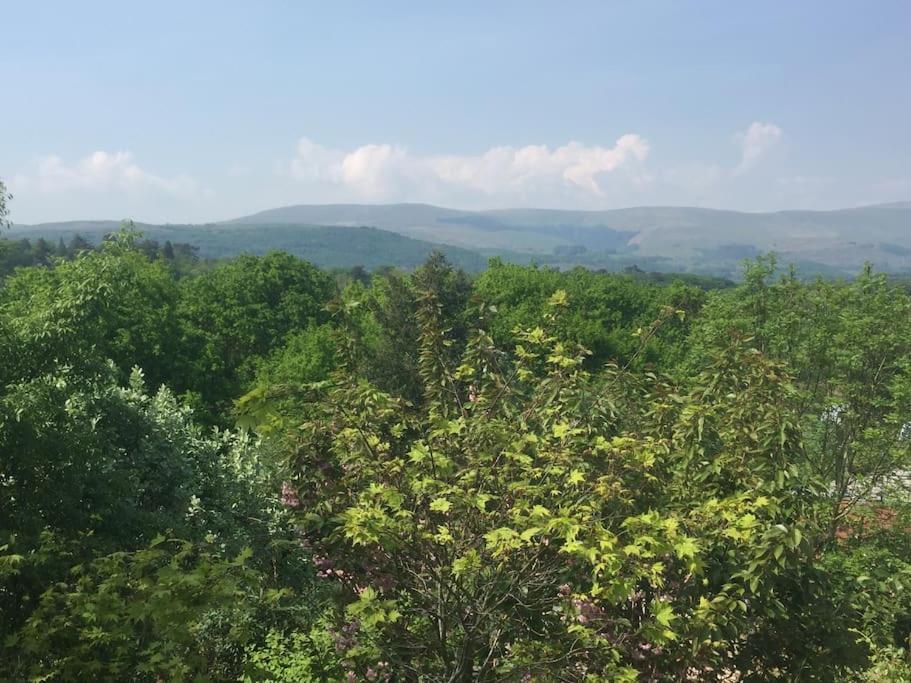 Stunning Views Of Ynyshir & Southern Snowdonia Machynlleth Eksteriør bilde
