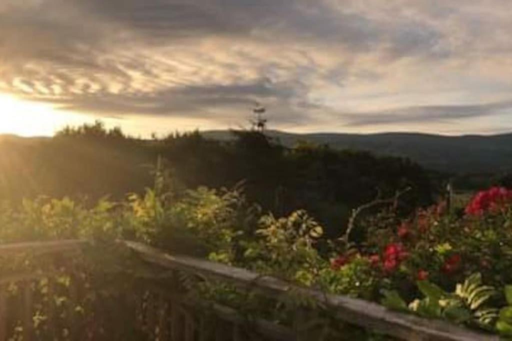 Stunning Views Of Ynyshir & Southern Snowdonia Machynlleth Eksteriør bilde